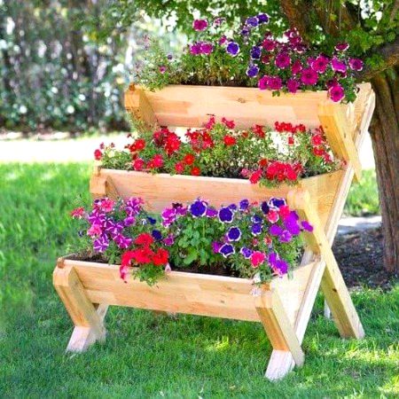 Beautiful Nature image