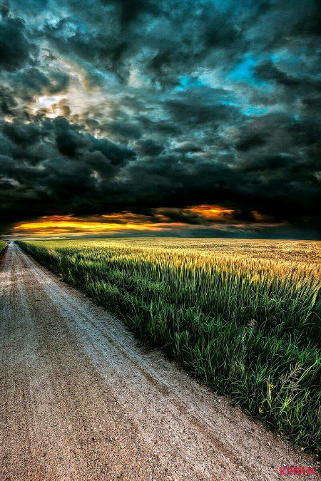 Beautiful Nature image
