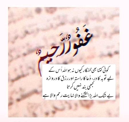 Islamic Quotes image