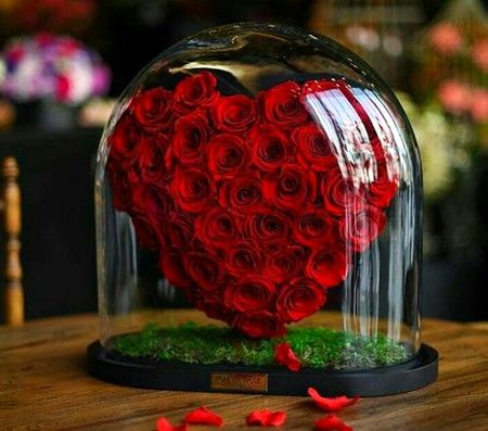 Beautiful Nature image