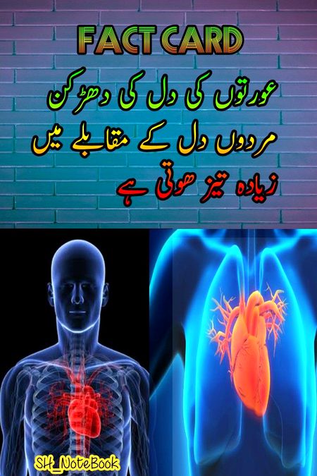 Interesting Posts image