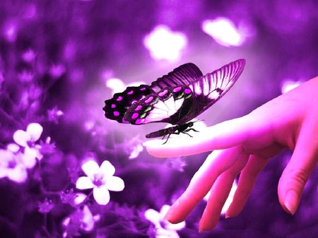 Digital Art image