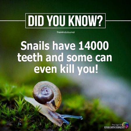 Interesting Posts image