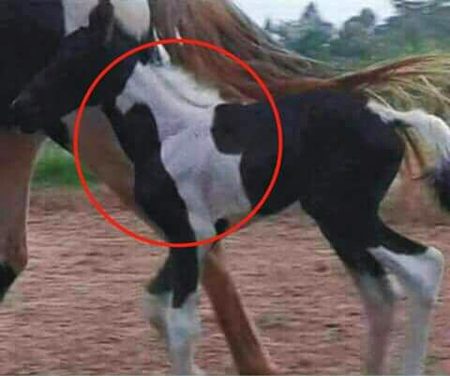 Interesting Posts image