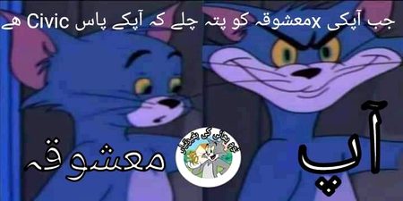 Memes & Satire image