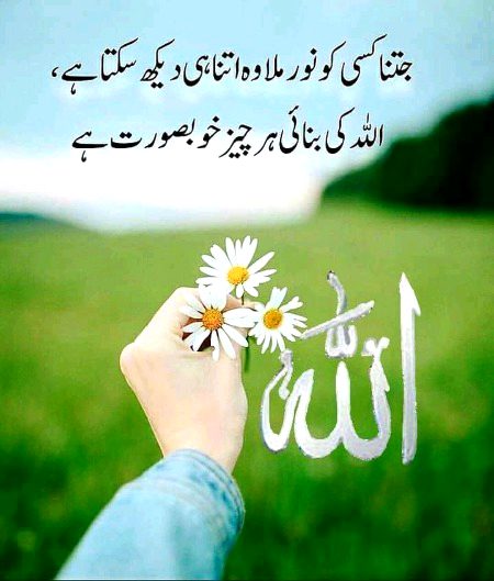 Islamic Quotes image