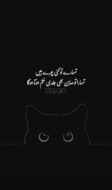 Attitude Quotes image