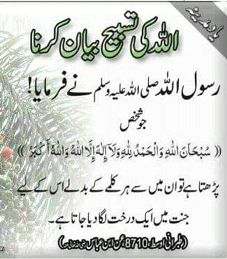 Islamic Quotes image