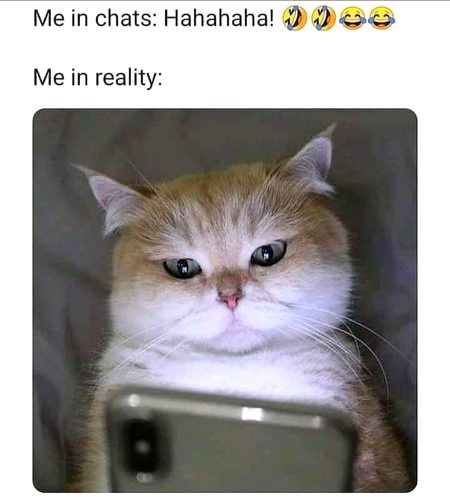 Memes & Satire image