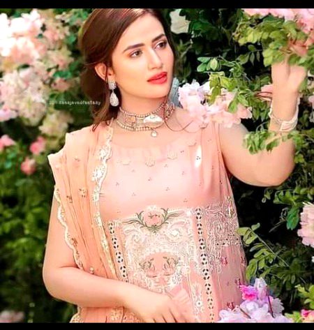 Pakistani Celebs image