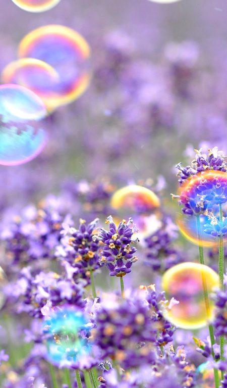 Beautiful Nature image