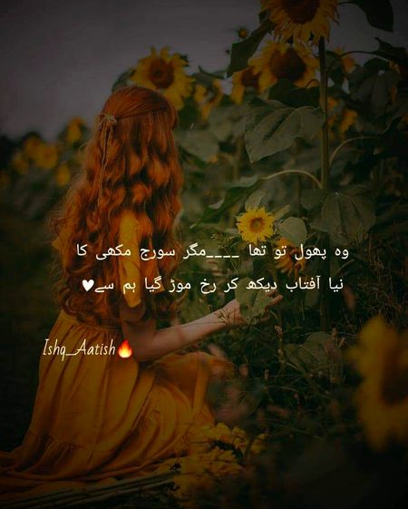 Social media post