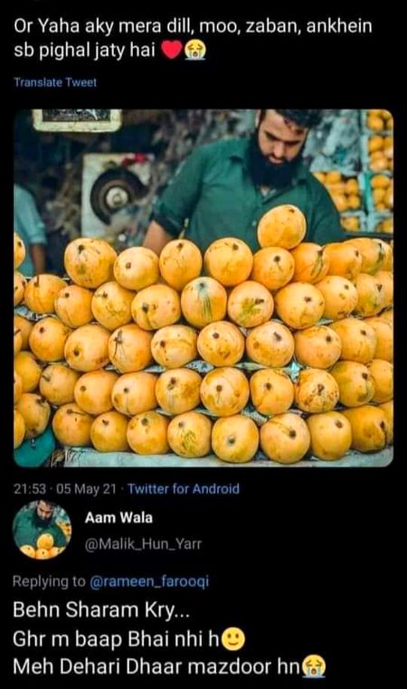 Memes & Satire image