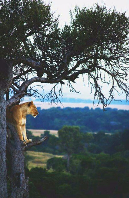 Beautiful Nature image