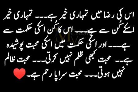 Islamic Quotes image