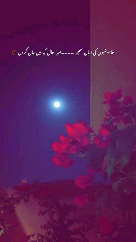 Sad Poetry image