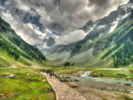 Beautiful Nature image