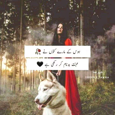 Life Advice image