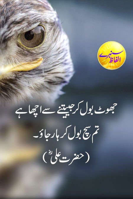 Life Advice image