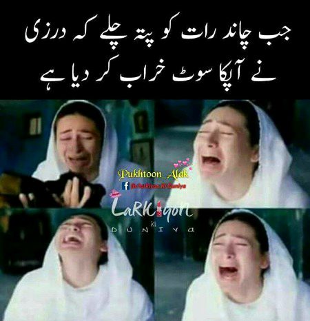 Memes & Satire image