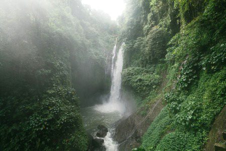 Beautiful Nature image