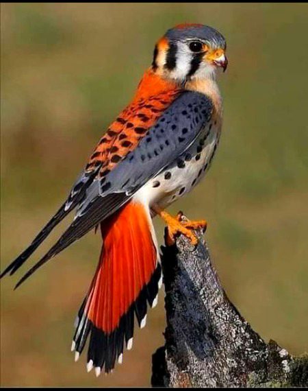 Beautiful Nature image
