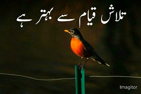 Social media post
