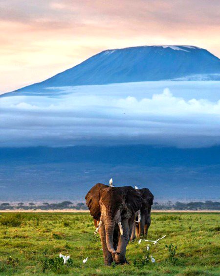 Beautiful Nature image