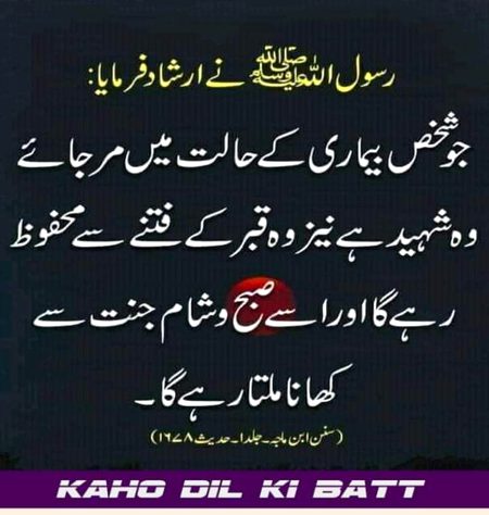 Islamic Quotes image