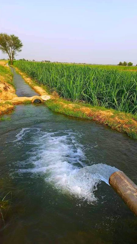 Beautiful Nature image