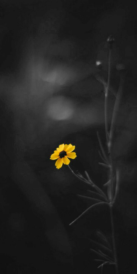 Beautiful Nature image