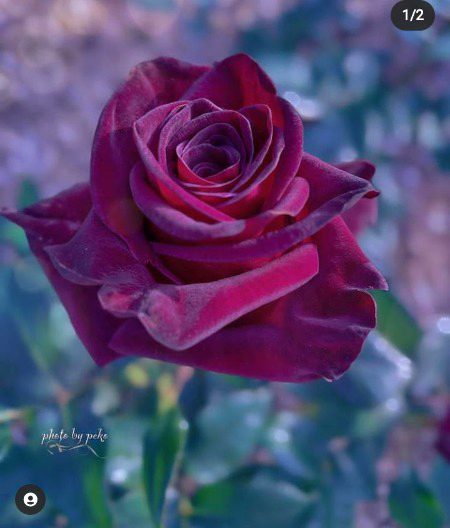 Beautiful Nature image