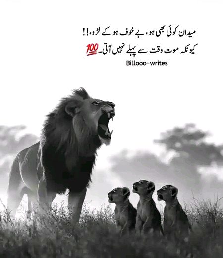 Life Advice image