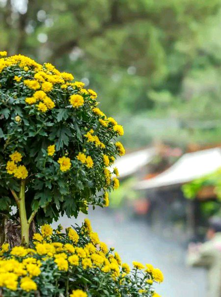 Beautiful Nature image