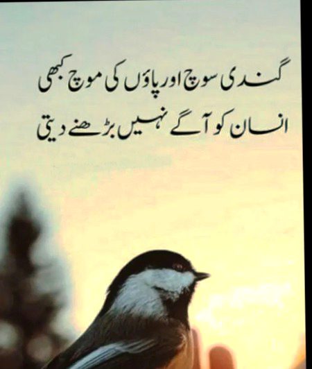 Life Advice image