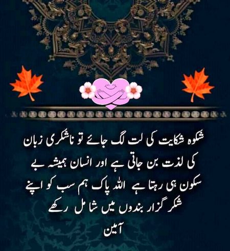 Islamic Quotes image