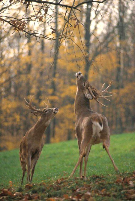 Beautiful Nature image