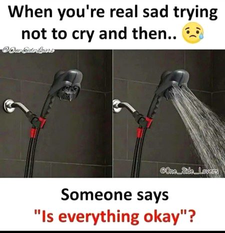 Memes & Satire image