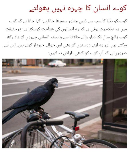 Interesting Posts image