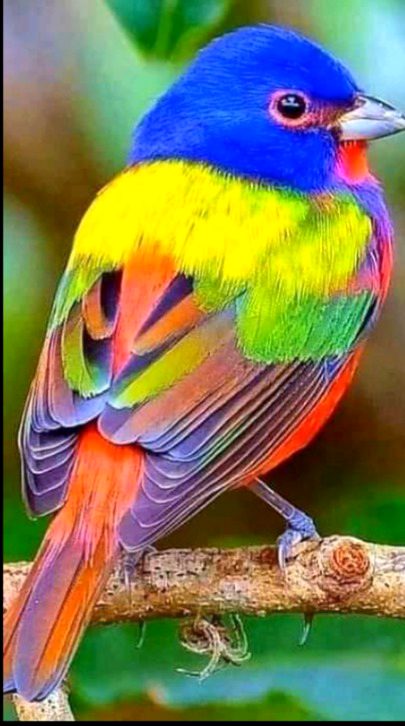 Beautiful Nature image