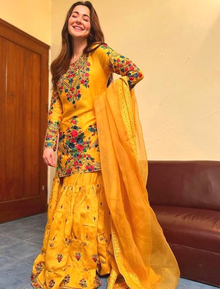 Pakistani Celebs image