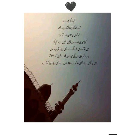 Islamic Quotes image