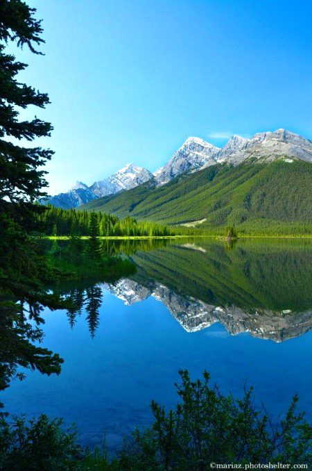 Beautiful Nature image