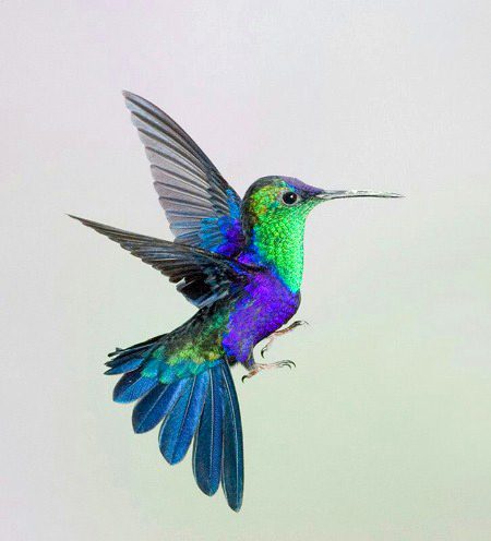 Beautiful Nature image