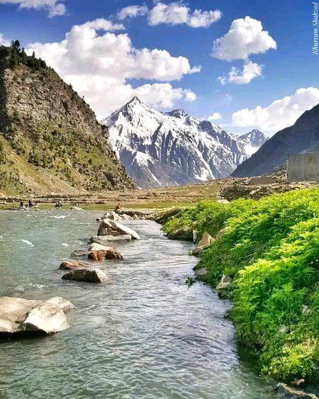 Beautiful Nature image