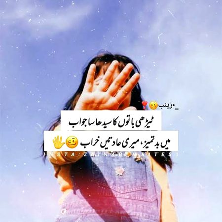 Attitude Quotes image