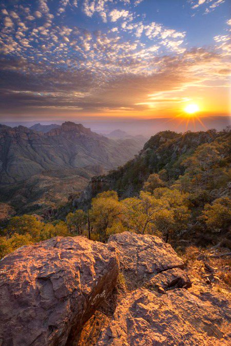 Beautiful Nature image