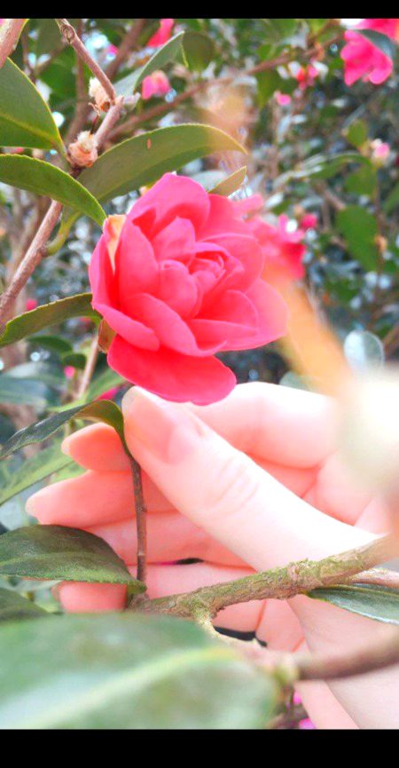 Beautiful Nature image