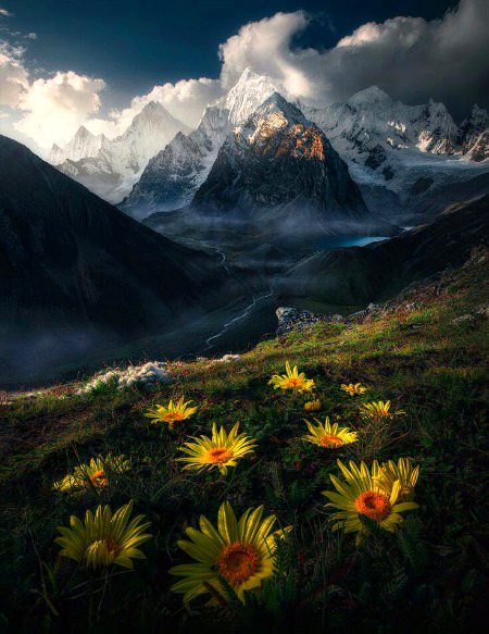 Beautiful Nature image