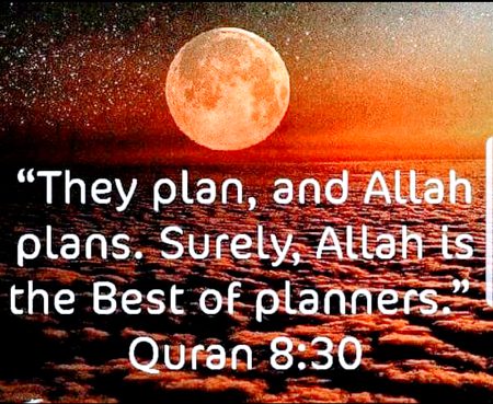 Islamic Quotes image